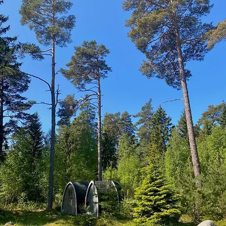 Merineitsi Metsamaja