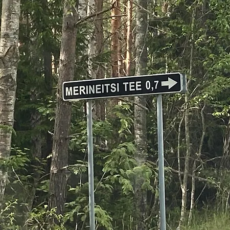 Merineitsi Metsamaja Laagriplats *